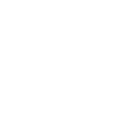 Detox icon
